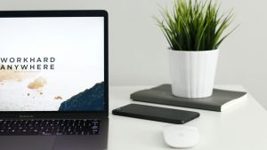 Digital Marketing and Design Exec